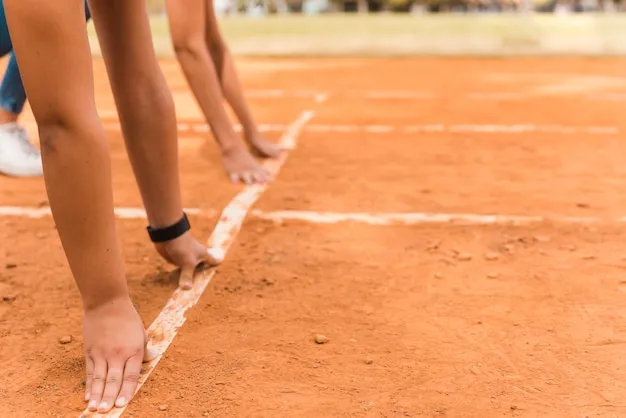 拼搏体育 体育赛事背景